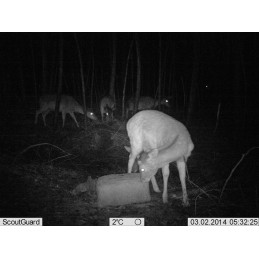 Trophy Blocco 25 kg Trophy Blocco 25 kg