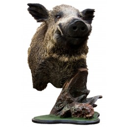 Trofeo di cinghiale tassidermizzato su piedistallo