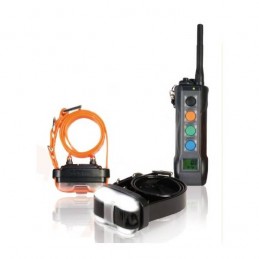 Collare Educativo Dogtra 4502 EDGE