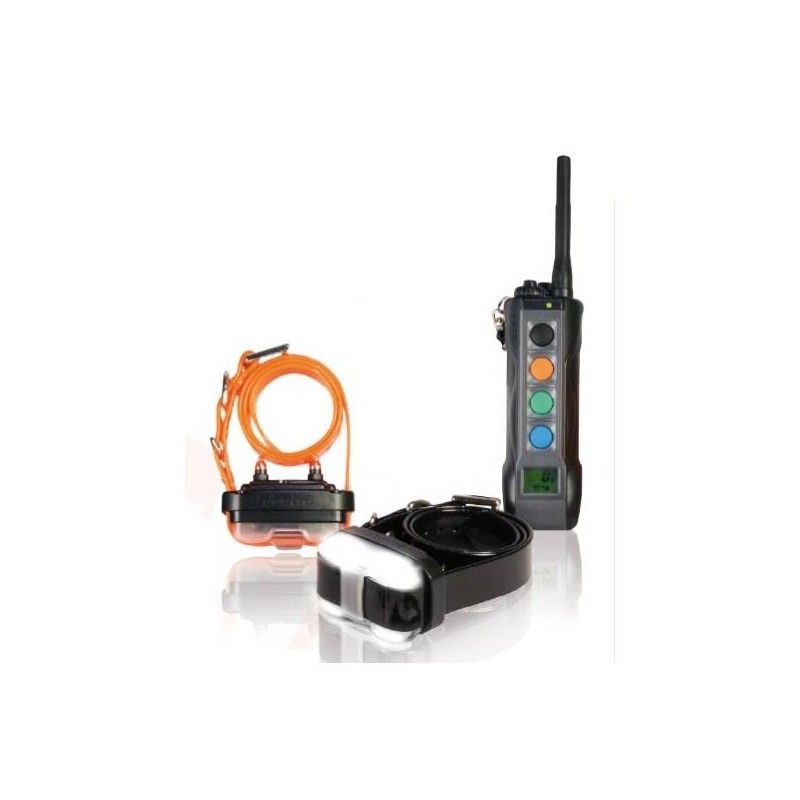 Collare Educativo Dogtra 4502 EDGE