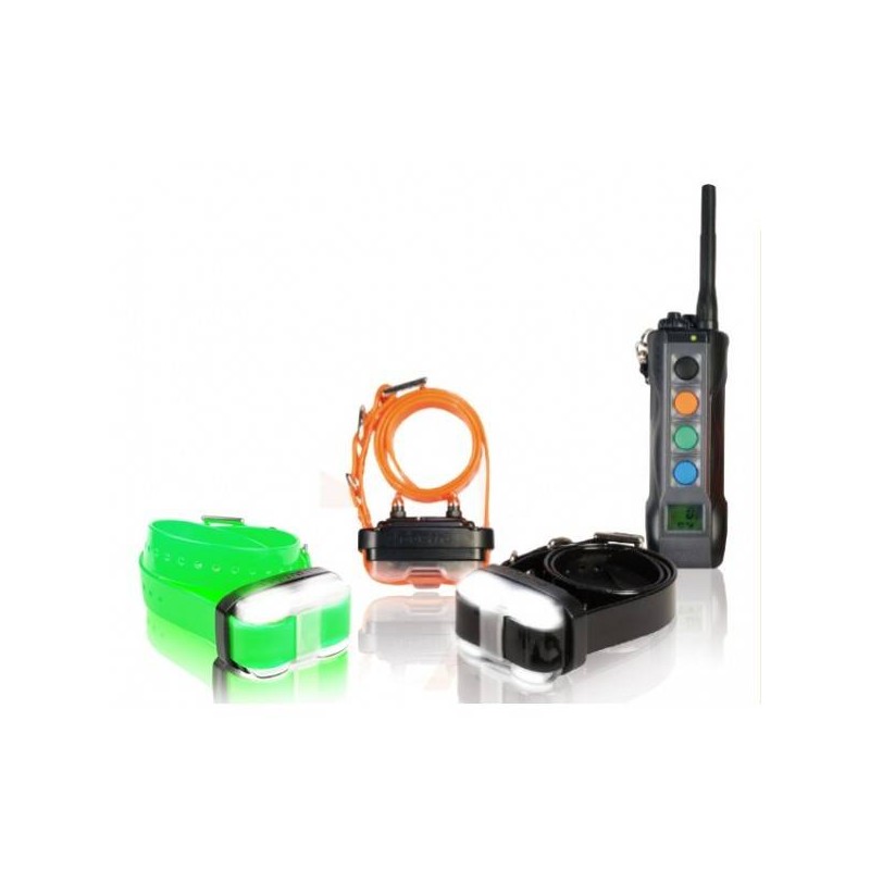 Collare Educativo Dogtra 4503 EDGE