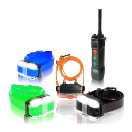 Collare Educativo Dogtra 4504 EDGE