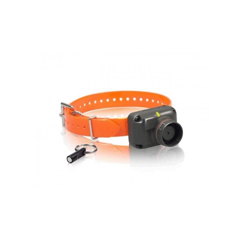 Beeper Dogtra STB-HAWK Beeper Dogtra STB-HAWK