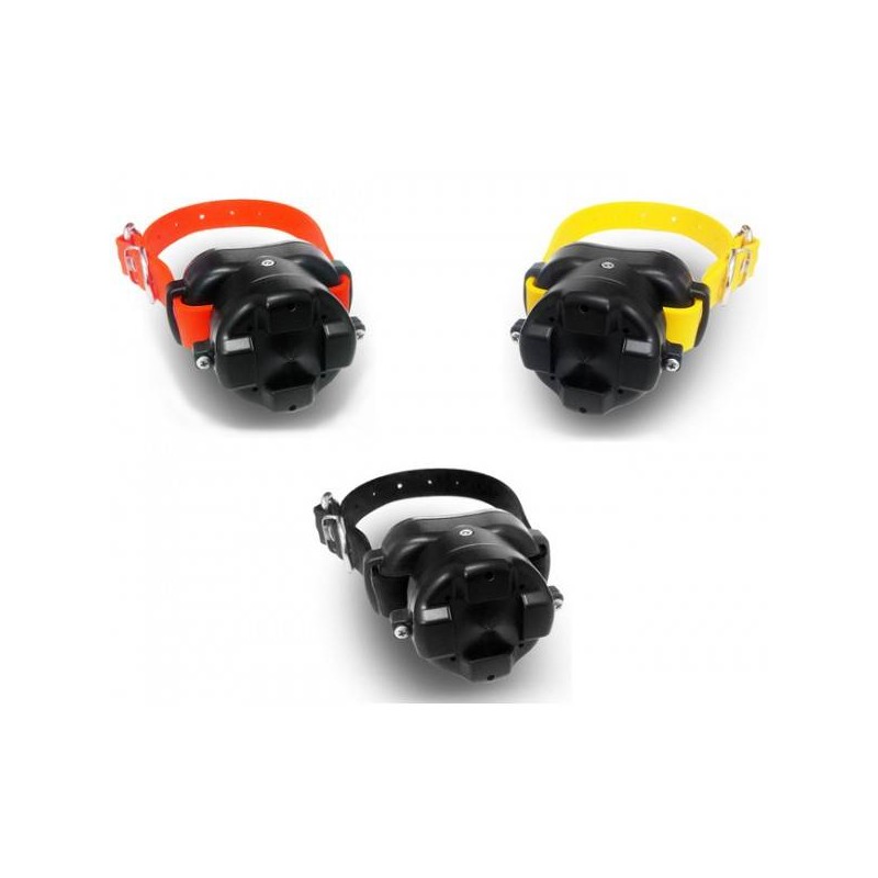 Collare Addizionale per Dogtra BB