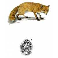 Richiami da caccia per volpe