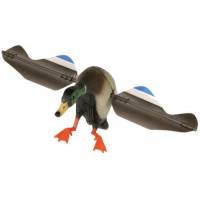 Anatre ad ali rotanti