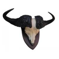 Trofei africani in bianco