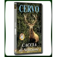 Ungulati, selezione, Africa