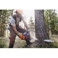 Calzature per tagliaboschi