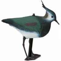 Rallidi Beccaccino Pavoncella