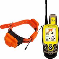 Satellitari per cani da ferma