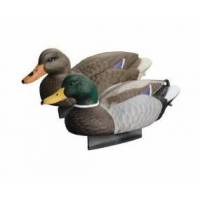 Giostre - Stampi - Migratoria