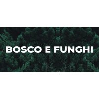 Bosco e funghi