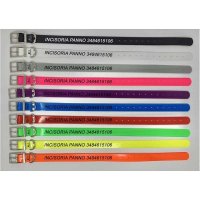 Collari per cani personalizzati